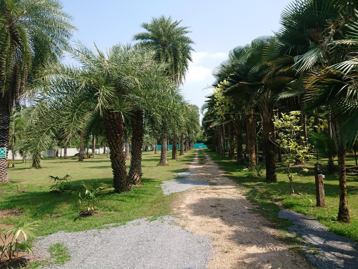 Lopburi Palm Resort Luaran gambar
