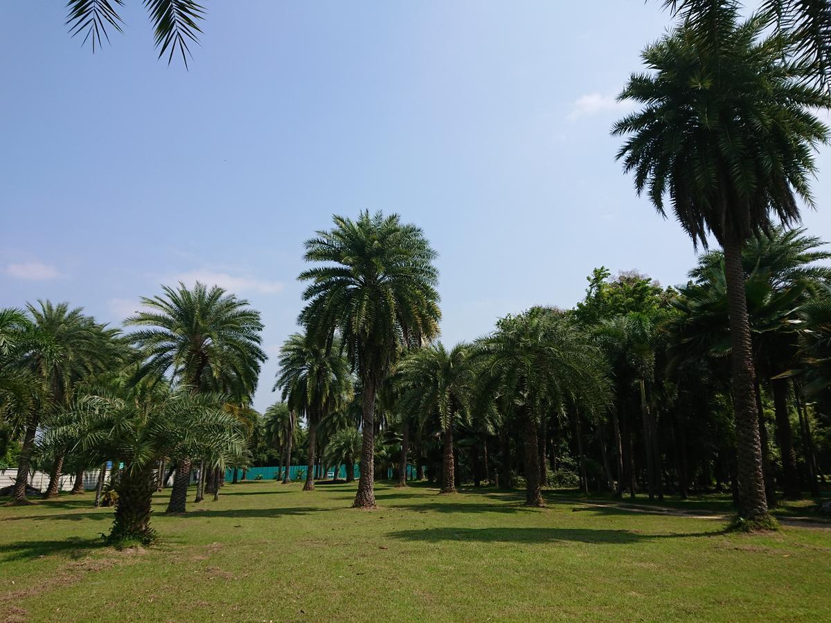 Lopburi Palm Resort Luaran gambar