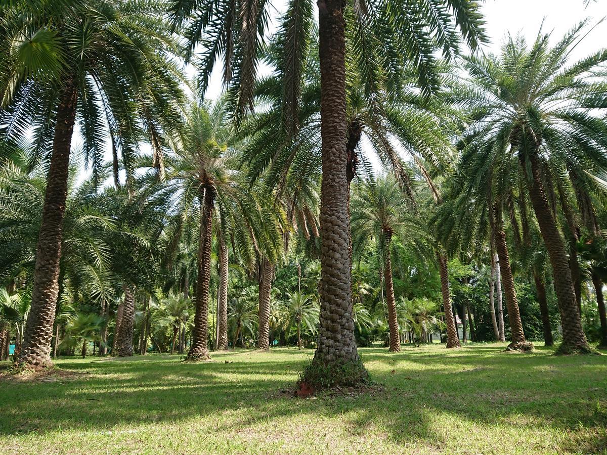Lopburi Palm Resort Luaran gambar